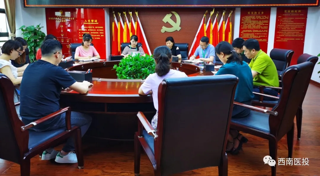 西南醫(yī)投集團(tuán)第二黨支部開展“逐夢起新航，習(xí)近平寄語青年”黨課活動