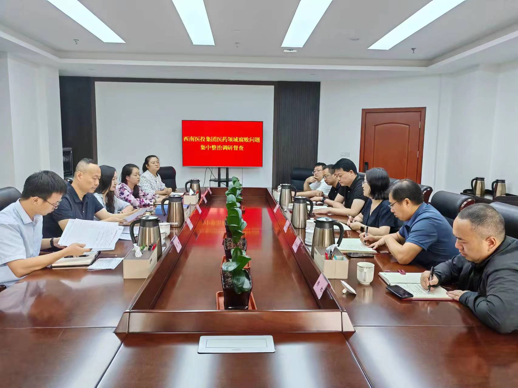 市紀(jì)委監(jiān)委駐市國資委紀(jì)檢監(jiān)察組赴西南醫(yī)投集團(tuán)開展醫(yī)藥領(lǐng)域腐敗問題集中整治調(diào)研督查